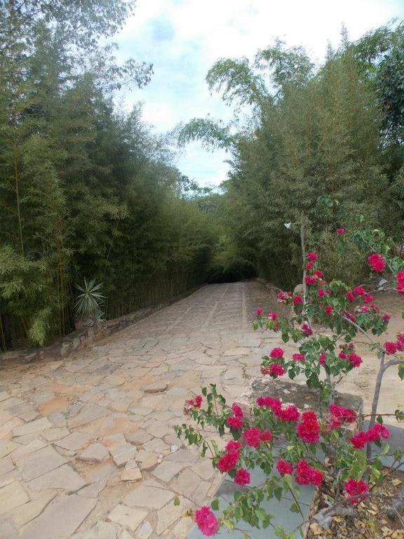 Pousada Bosque Do Lapao レンソイス エクステリア 写真