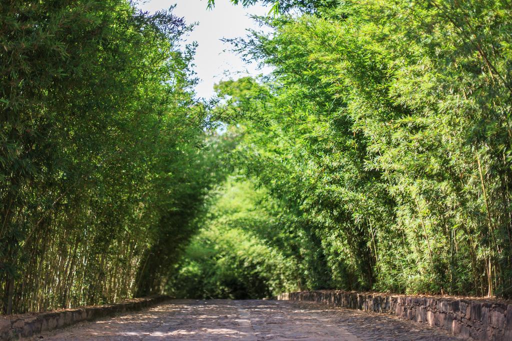 Pousada Bosque Do Lapao レンソイス エクステリア 写真